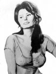 Sophia Loren in haar jonge jaren;
zwart-wit,zacht potlood,50x65 cm