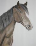 studietekening Forest pony, kleur, pastel en potlood, 50 x 65 cm