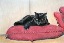 Zwarte kat op rood kussen;huisdier van zus van goede vriend;kleur,kleurpotlood,48x32cm