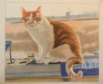 opdracht: rode kater, kleur; 40x48cm pastelpotlood