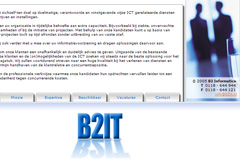 Website B2 Informatica