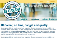 Website BI Garant