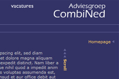 Website Adviesgroep CombiNed